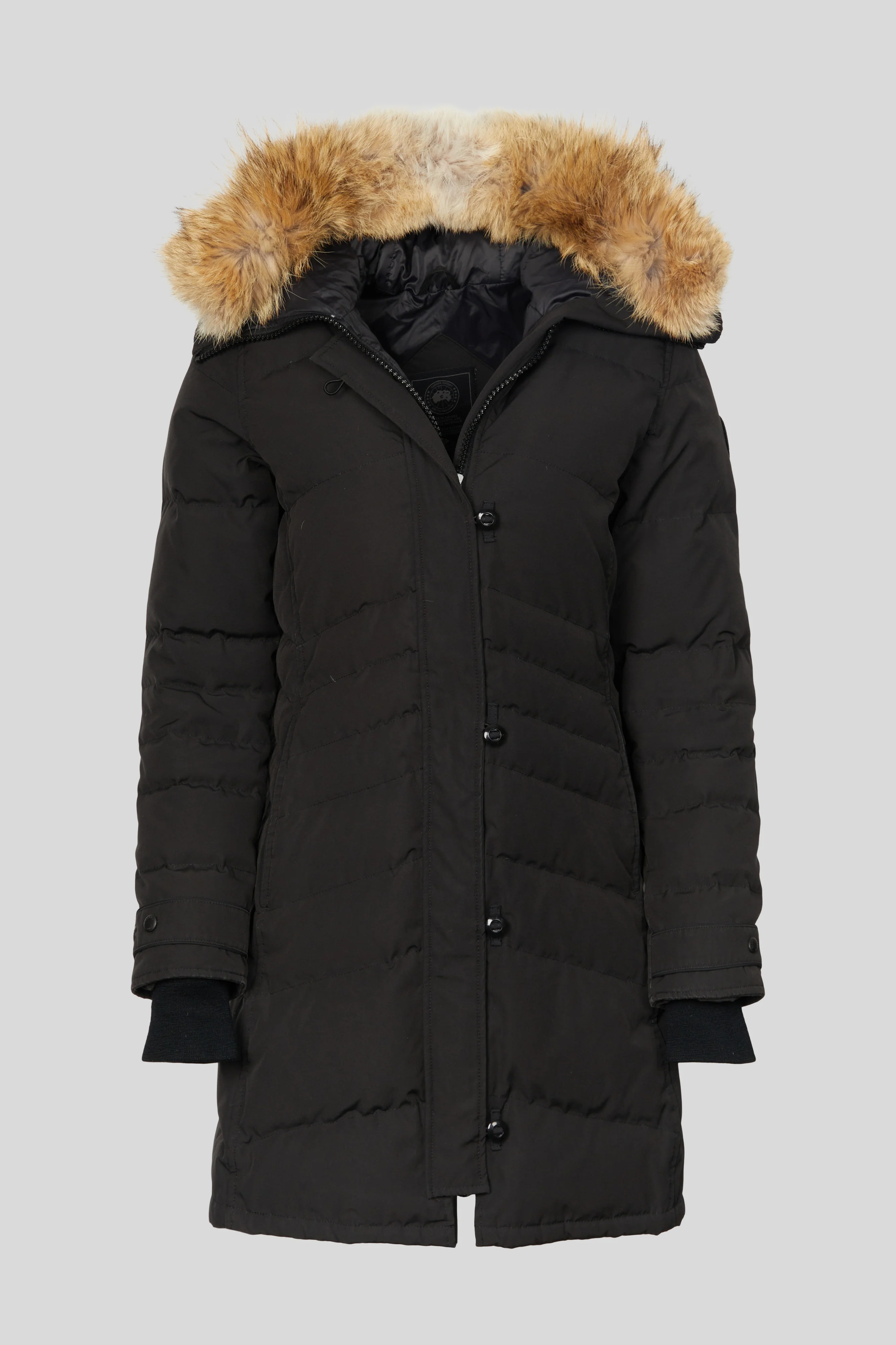 Women's New Arrivals